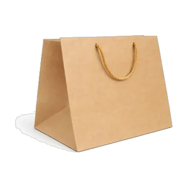 Carton Bag For Trays