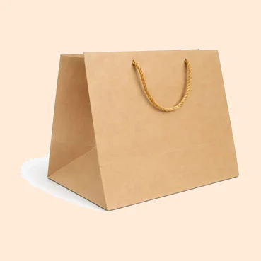 Carton Bag For Trays