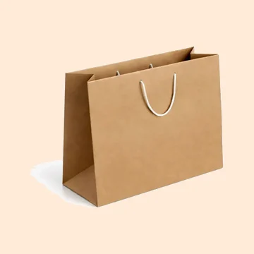 Carton Gift Bag (Large)