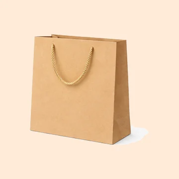 Carton Gift Bag (Small)