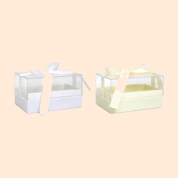 Clear Rectangle Box With Ribbon