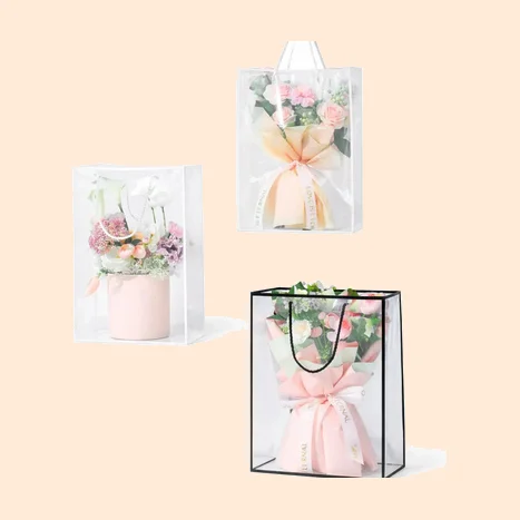 Clear Rectangle Hand Bag