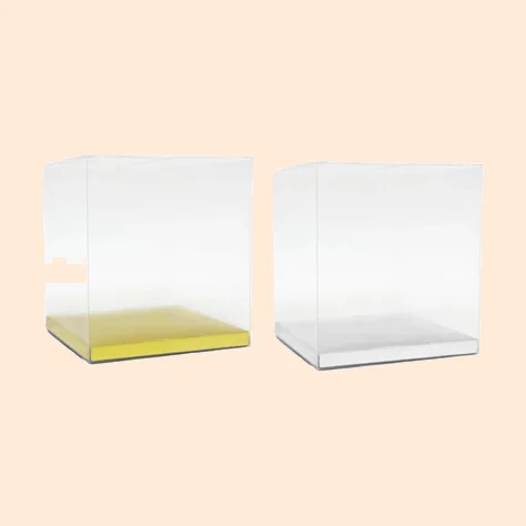 Small Clear PVC Box